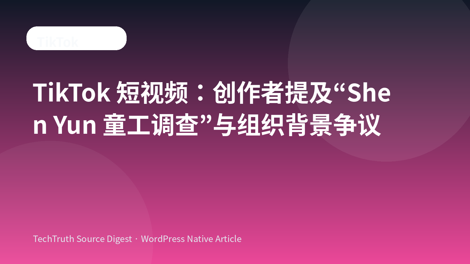 创作者提及“Shen Yun 童工调查”与组织背景争议